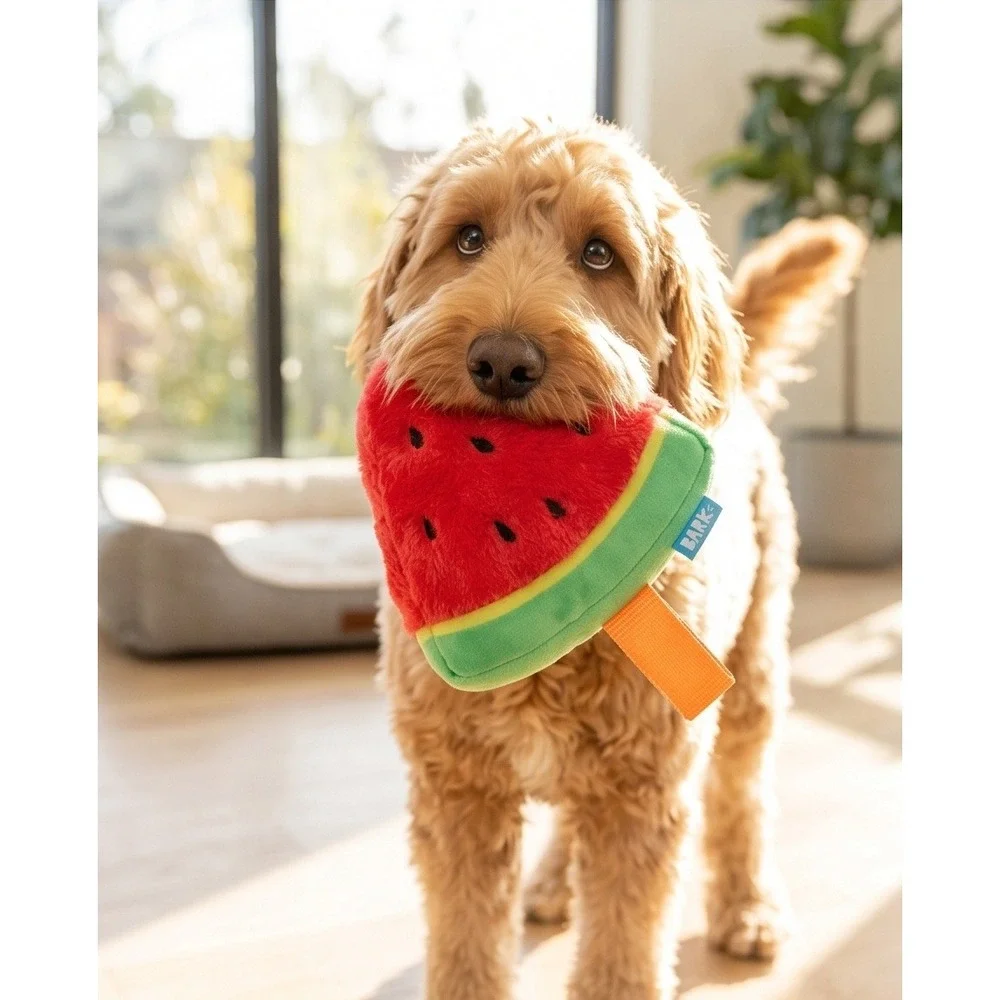 Bark Box Slobbermelon Pop Watermelon Plush Dog Toy‎ Red Green M/L New With Tags